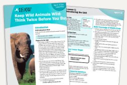 Free Animal Preservation Lesson Plans & Teaching Resources From We Are Teachers