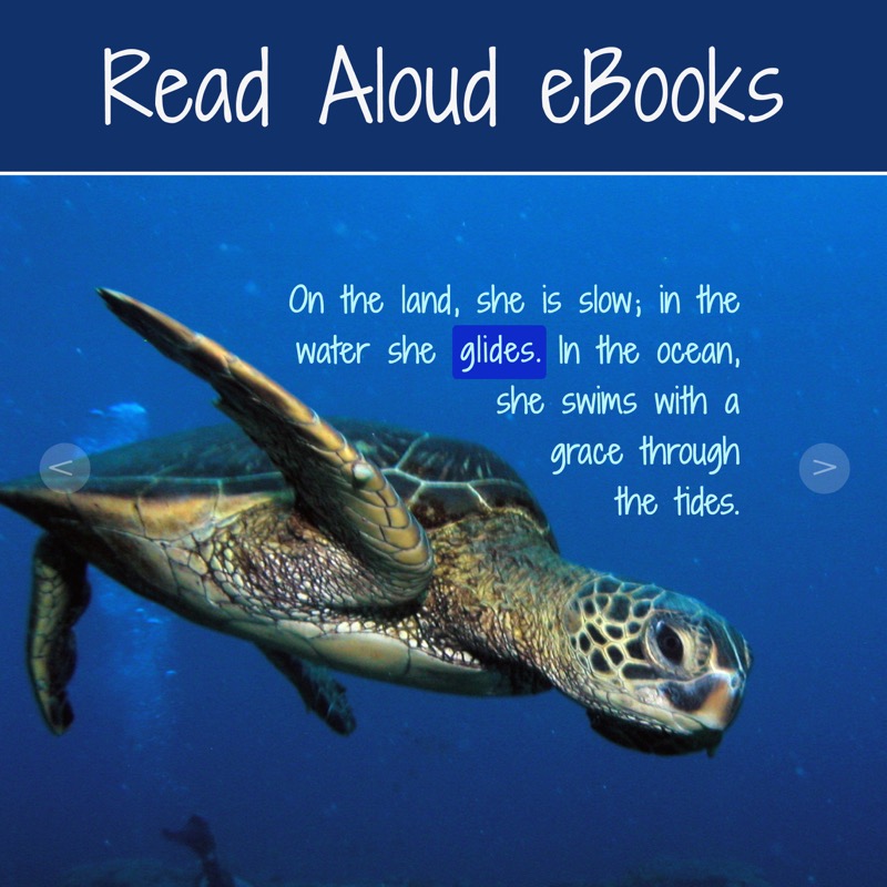 If you support students with blended learning in the classroom or distance learning at home, you’ll want to check out these read aloud eBooks.