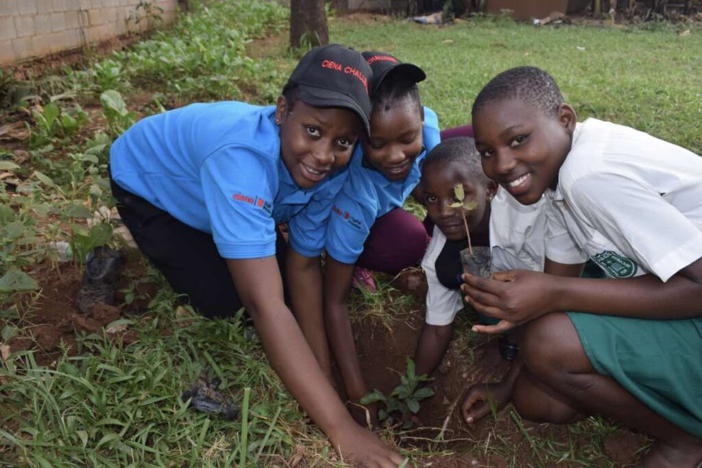 Students bending down and planting trees
